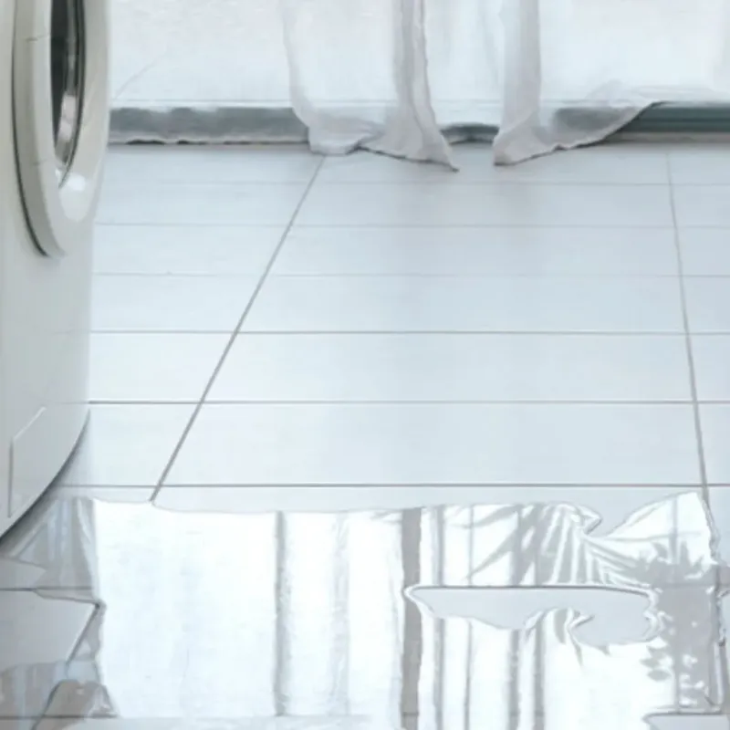 Appliance Leak Cleanup in Lakeview, OH