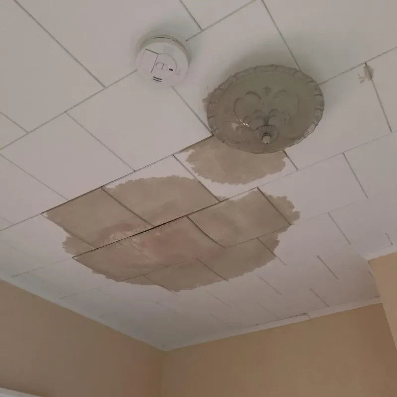 Ceiling Water Damage Repair in Lakeview, OH
