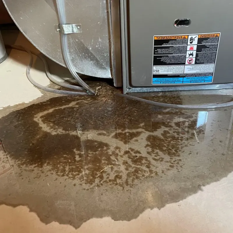 Pipe Burst and Leak Restoration in Lakeview, OH
