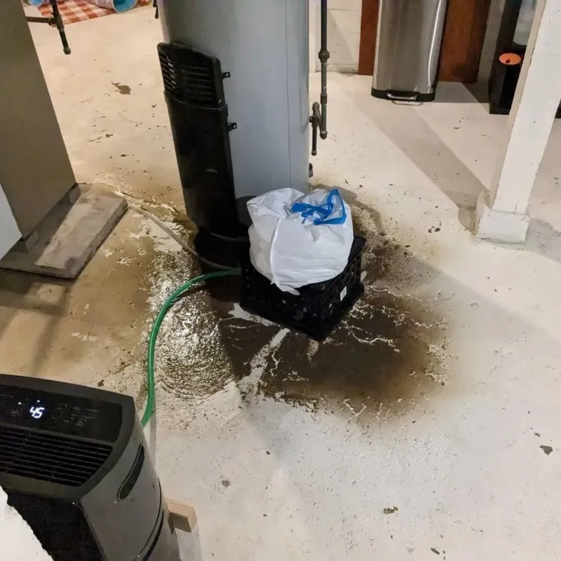 Sewage Backup Cleanup Service in Lakeview, OH